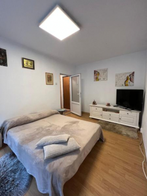 Apartament cu o cameră în Zorilor !